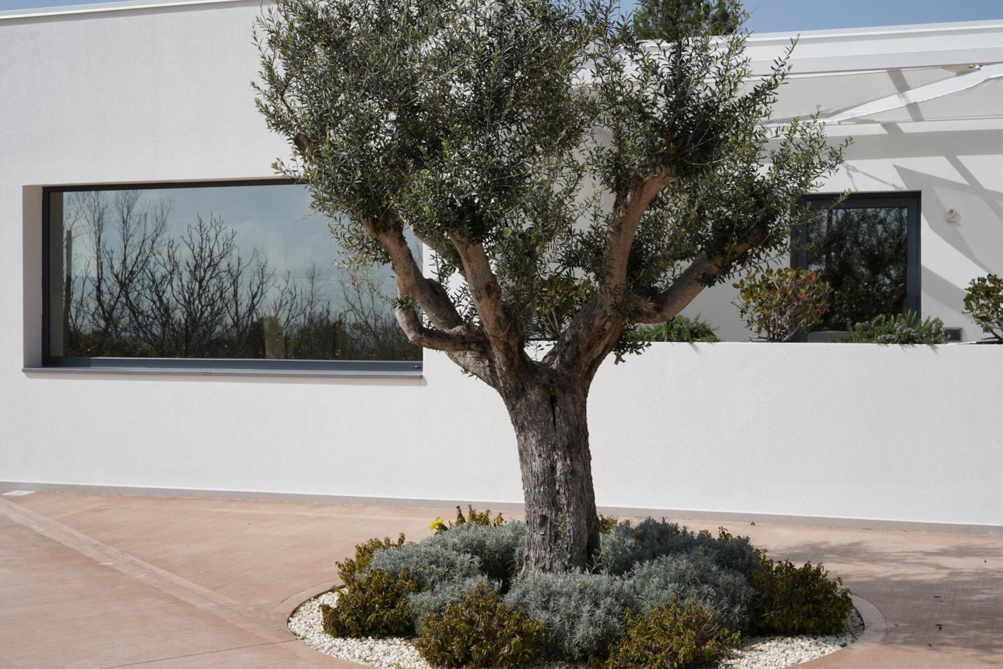 Tenuta San Marco Noto Exterior foto